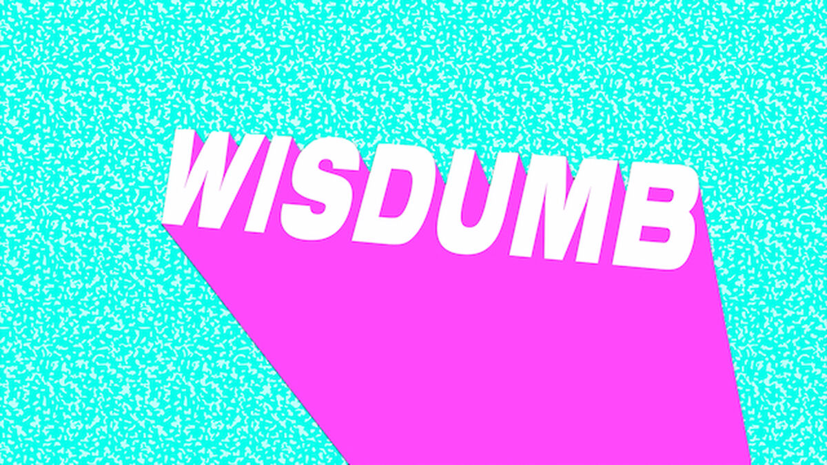 Wisdumb image number 0